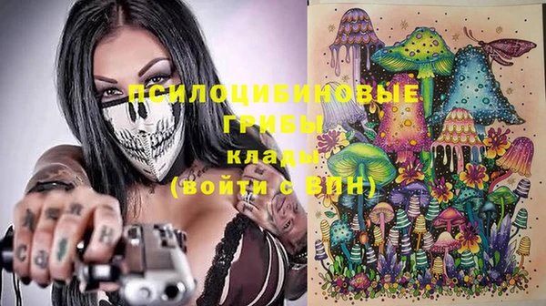 шишки Снежинск