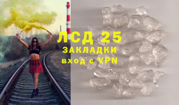 гашик Верея